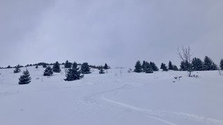 Un chtit peu de Peuff 😜