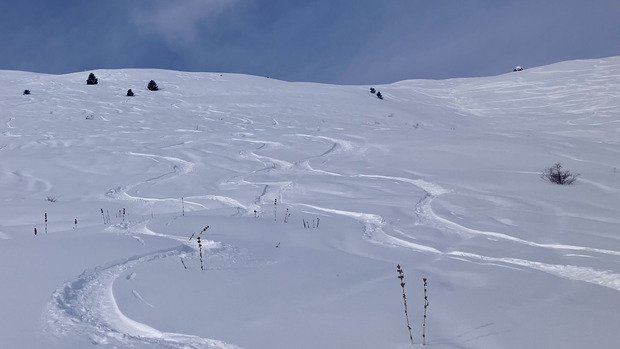 Un chtit peu de Peuff 😜