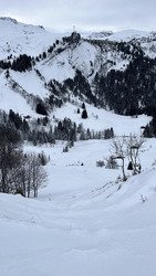 Le vent a encore tout g&acirc;ch&eacute;