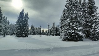 Skating lent, mais beau skating 🤩