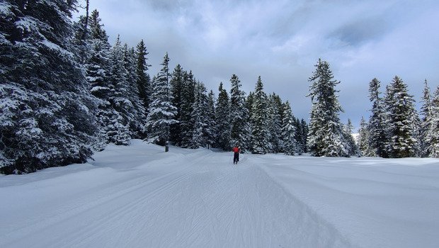 Skating lent, mais beau skating 🤩