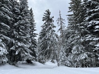 🤬🤬🤬 sur la route