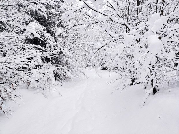 Hold up entre midi et deux 