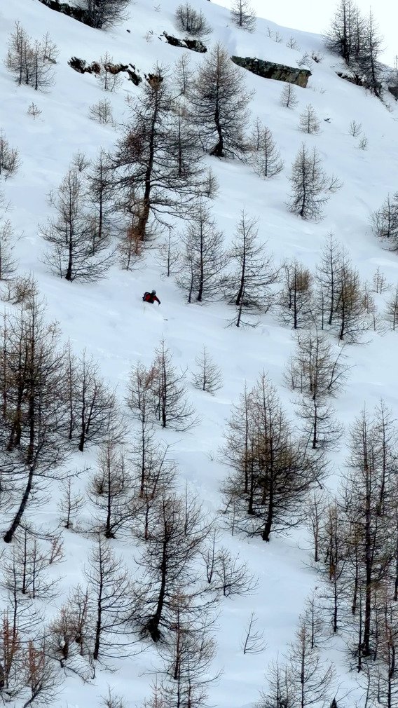 Concentration d&rsquo;intelligence