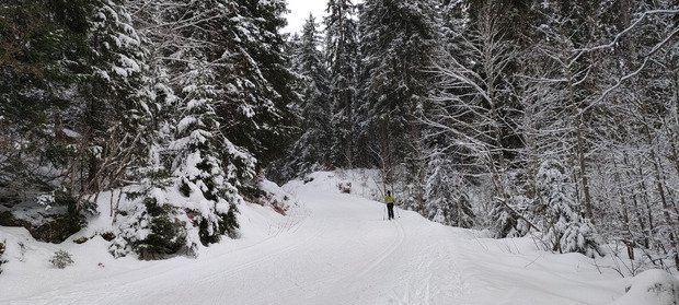 Bonne glisse et bonne accroche pour le ski de fond 