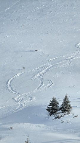 L'habit ne fait pas le moine 