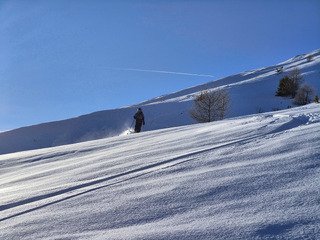 Froid et on attend la livraison de peuf