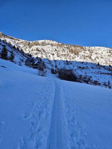 Froid et on attend la livraison de peuf