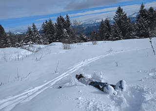 Sortie en famille du dimanche