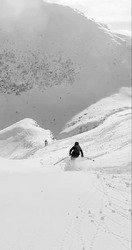 Poudreuse paillettes, la bonne r&eacute;galade !