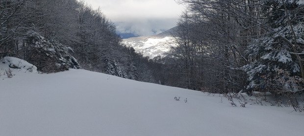 Gavage dans le couloir Nord du Mont Margeriaz 