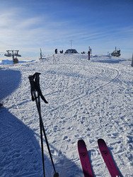 CHAMROUSSE : MARMOTTES 1&egrave;re !!!