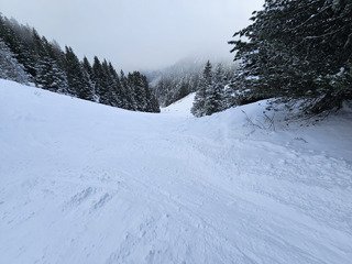 CHAMROUSSE : MARMOTTES 1&egrave;re !!!
