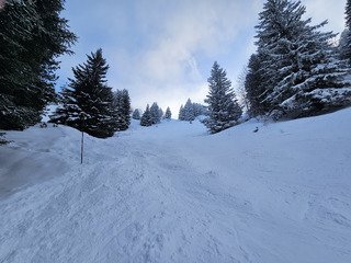 CHAMROUSSE : MARMOTTES 1&egrave;re !!!