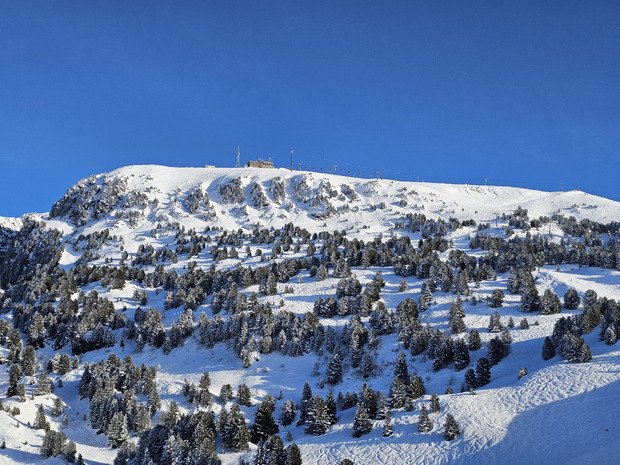 CHAMROUSSE : MARMOTTES 1&egrave;re !!!