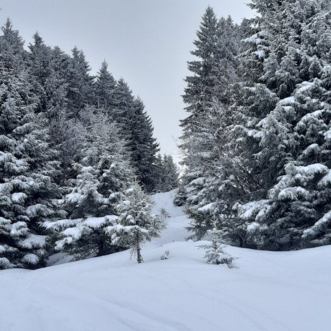 La neige est de retour 