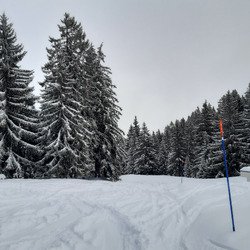 La neige est de retour 