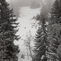 La neige est de retour 