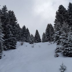 La neige est de retour 