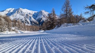 Reall'ement parfait !