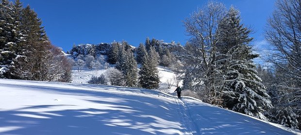 Charmant Som en Chartreuse (38)