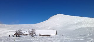 Charmant Som en Chartreuse (38)