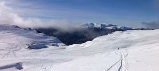 Charmant Som en Chartreuse (38)