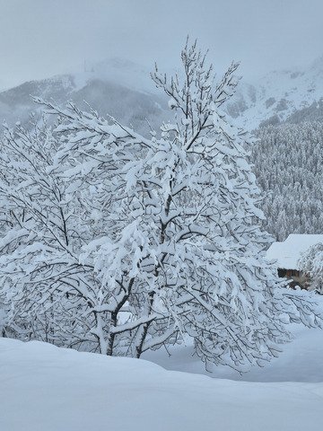 Ouverture tr&egrave;s r&eacute;duite du domaine 