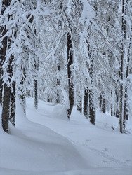Ouverture tr&egrave;s r&eacute;duite du domaine 