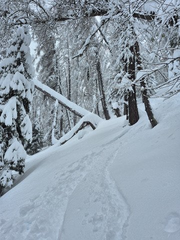 Ouverture tr&egrave;s r&eacute;duite du domaine 