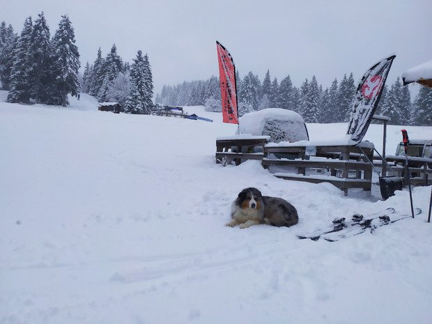 Nord Belledonnes avec +20 cm minimum