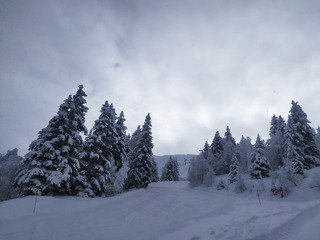 Nord Belledonnes avec +20 cm minimum