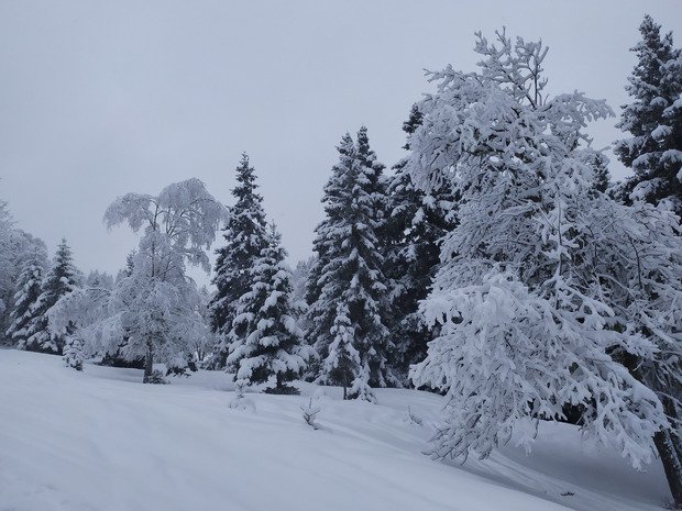 Nord Belledonnes avec +20 cm minimum