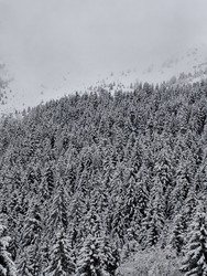 Jour blanc jusqu'aux genoux 😀