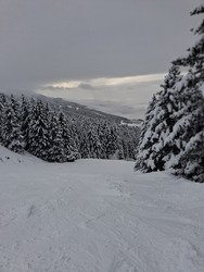 Jour blanc jusqu'aux genoux 😀
