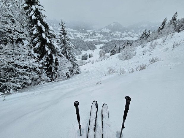 Snowstorm - US ou Tri&egrave;ves&nbsp;?