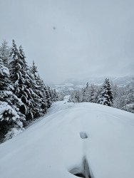 Snowstorm - US ou Tri&egrave;ves&nbsp;?