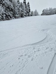 Snowstorm - US ou Tri&egrave;ves&nbsp;?