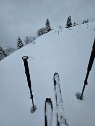 Snowstorm - US ou Tri&egrave;ves&nbsp;?