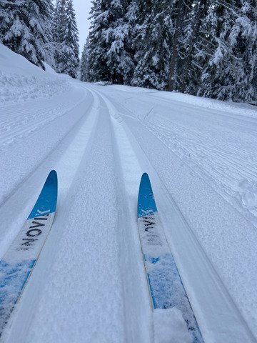 Ski de fond dans un cadre f&eacute;erique malgr&eacute; le ciel gris