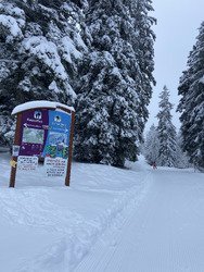 Ski de fond dans un cadre f&eacute;erique malgr&eacute; le ciel gris
