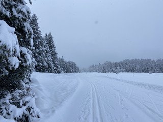Ski de fond dans un cadre f&eacute;erique malgr&eacute; le ciel gris