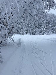 Ski de fond dans un cadre f&eacute;erique malgr&eacute; le ciel gris