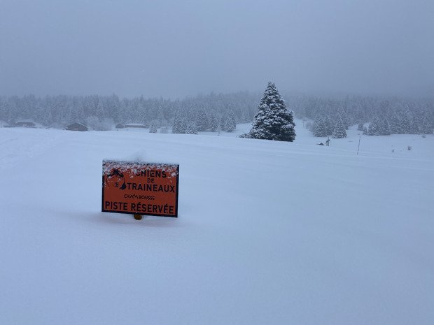 Ski de fond dans un cadre f&eacute;erique malgr&eacute; le ciel gris