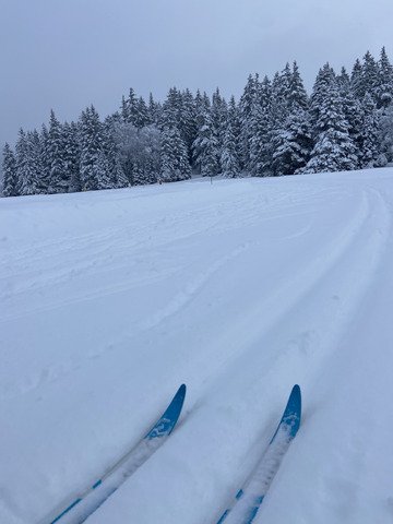 Ski de fond dans un cadre f&eacute;erique malgr&eacute; le ciel gris
