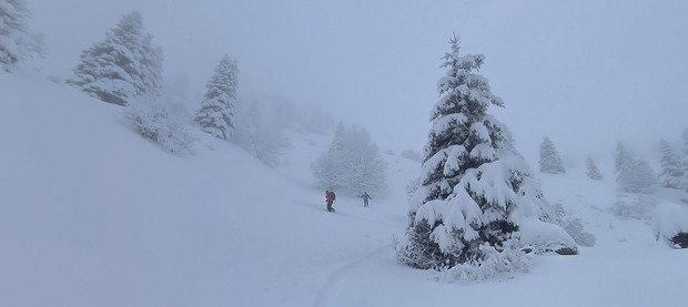 &Eacute;paule de Cornafion (Vercors 38)