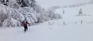 &Eacute;paule de Cornafion (Vercors 38)