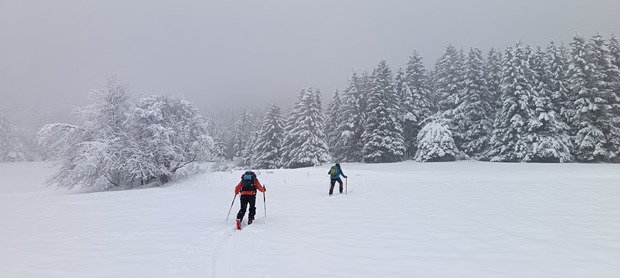 &Eacute;paule de Cornafion (Vercors 38)