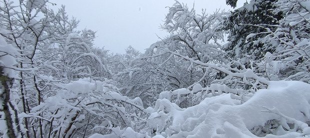 &Eacute;paule de Cornafion (Vercors 38)