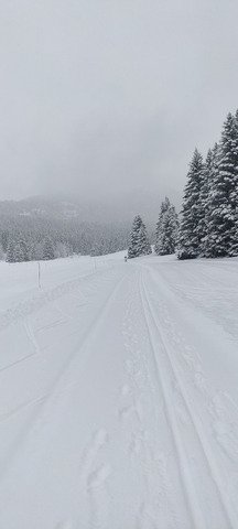 Ski de fond f&eacute;erique mais pas bien glissant 